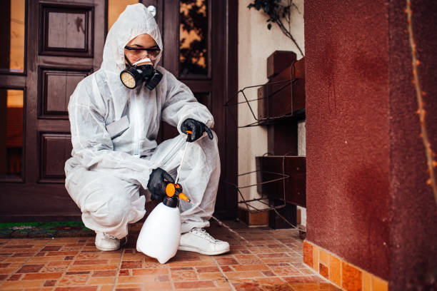 Reliable Cockroach Control contractor in Show Low, AZ by Nex Pest Control